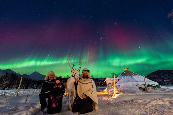 Reindeer Feeding and Sledding, Sami Storytelling Night Tour - Logistics: Meeting Point and Group Size