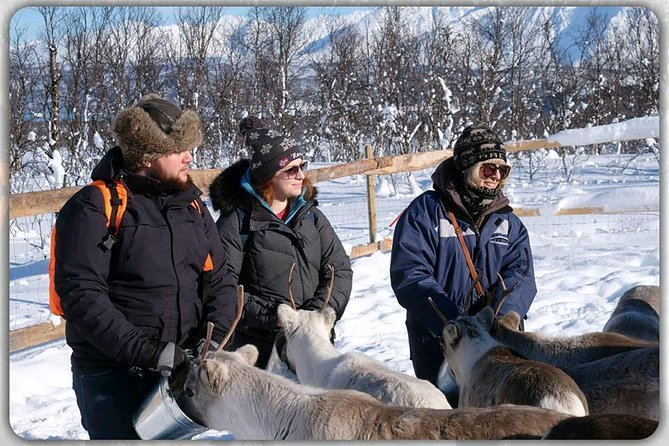 Reindeer feeding & Saami Culture - Practical Details: Meeting Point, Group Size, and Weather Considerations