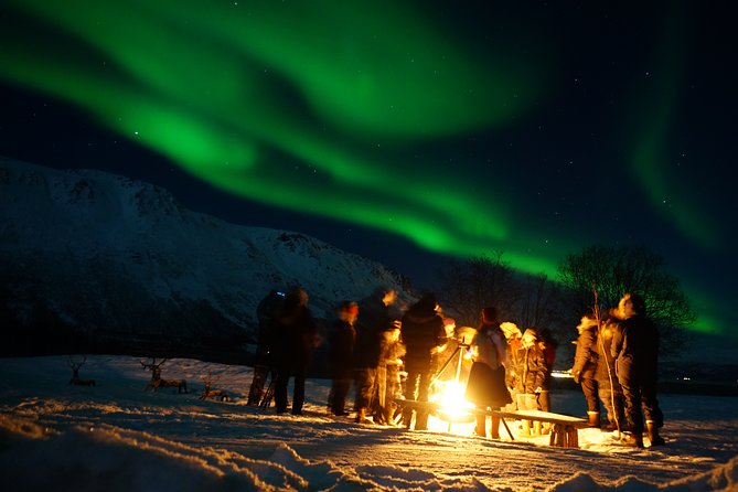 Reindeer feeding & Saami Culture with chance for Northern Lights - Key Points