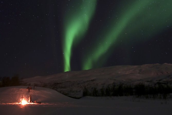 Reindeer feeding & Saami Culture with chance for Northern Lights - Group Size and Tour Pacing
