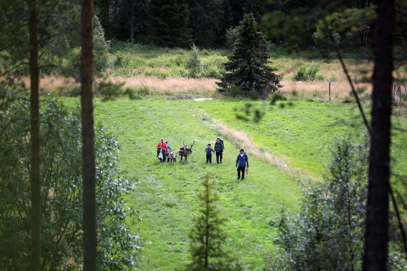 Reindeer Hike in Kuusamo nature - Key Points