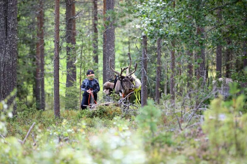 Reindeer Hike in Kuusamo nature - The Route: A Walk Through Kuusamo’s Reindeer Pastures