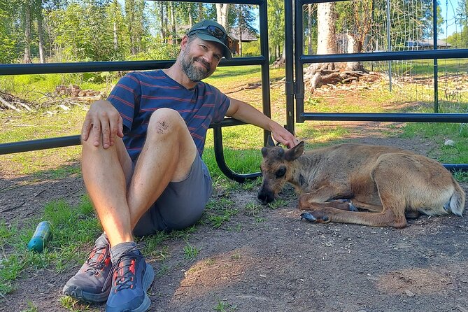 Reindeer Meet and Feed - Talkeetna - Flexibility and Cancellation Policy