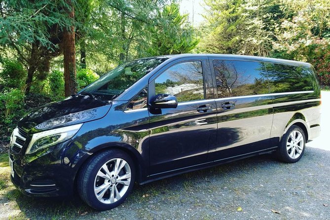 Reindeer Park Adventure - Highlights of the Reindeer Experience