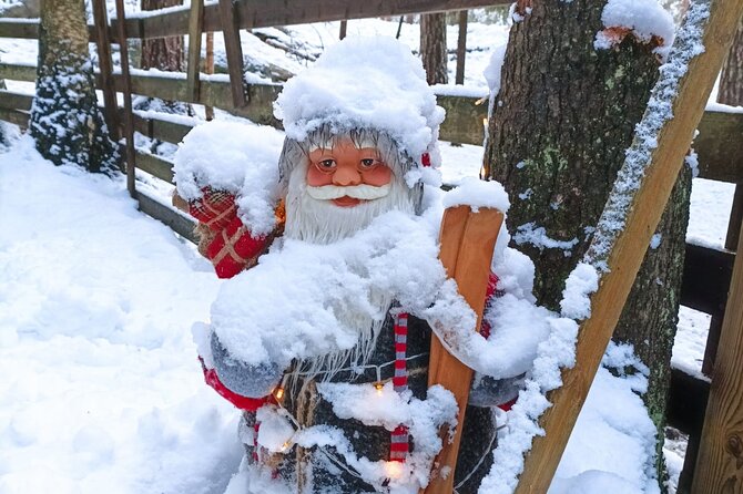 Reindeer Park Adventure VIP Car (private service) - Explore Helsinki’s Reindeer and Wilderness in Comfort