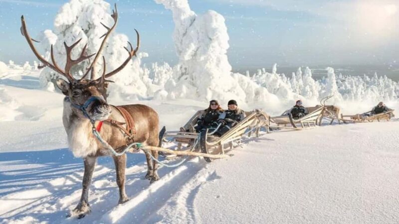 Reindeer Safari and Ice Fishing - Warm Up with Hot Drinks Before Ice Fishing