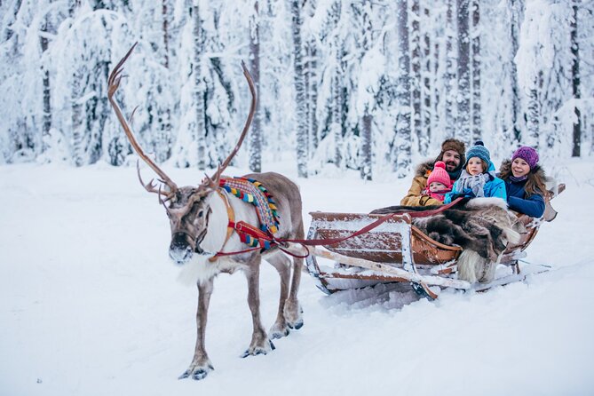 Reindeer Safari with Snowmobile and Cross The Arctic Circle Tour from Rovaniemi - The Value of the Rovaniemi Snowmobile and Reindeer Tour