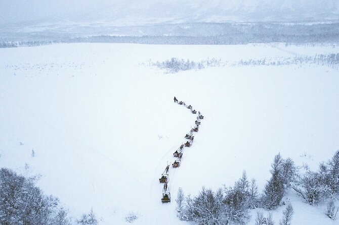Reindeer Sledding and Feeding with Sami Culture in Tromso. - Reindeer Sledding and Feeding with Sami Culture in Tromsø