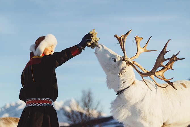 Reindeer Sledding and Feeding with Sami Culture in Tromso. - Sami Culture and Storytelling: An Authentic Cultural Insight