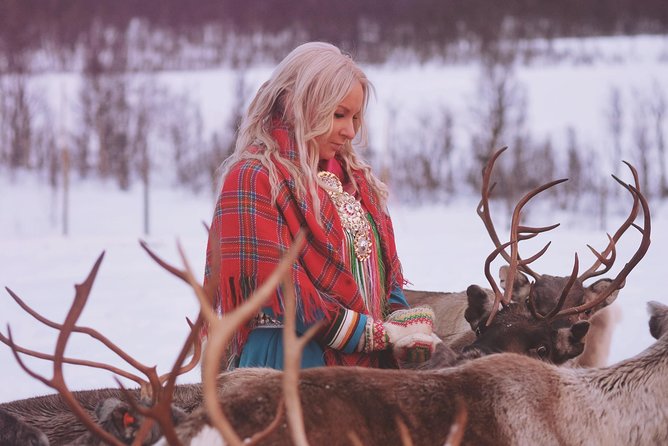 Reindeer Sledding and Feeding with Sami Culture in Tromso. - Scenic Landscapes and Outdoor Atmosphere