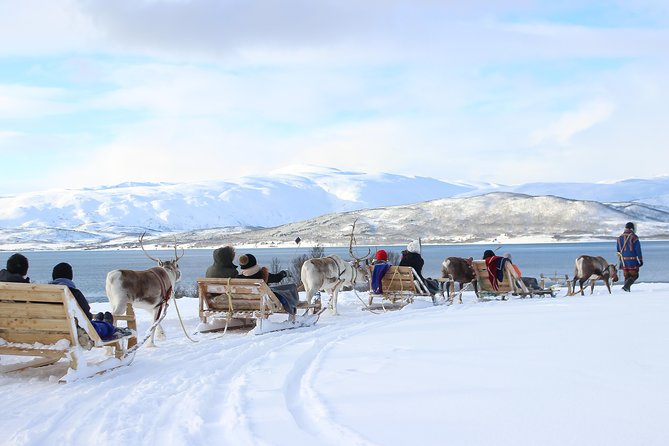 Reindeer Sledding Experience and Sami Culture Tour from Tromso - Practical Tips for the Tour