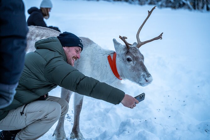 Reindeer Sledding, Feeding And Sami Culture At Reindeer Farm - Practical Aspects: Meeting Point, Group Size, and Clothing
