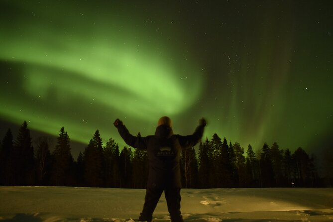 Reindeer sleigh ride across the night in Apukka Resort Rovaniemi - Reindeer Sleigh Ride in Rovaniemi: An Authentic Arctic Journey