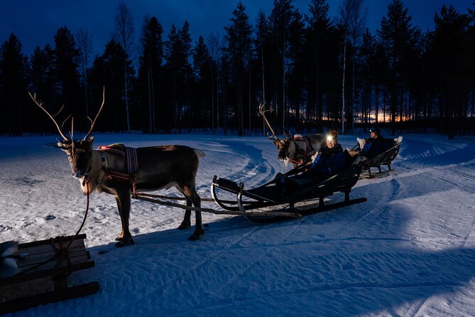 Reindeer sleigh ride across the night in Apukka Resort Rovaniemi - Comfort and Warmth During the Cold Arctic Night