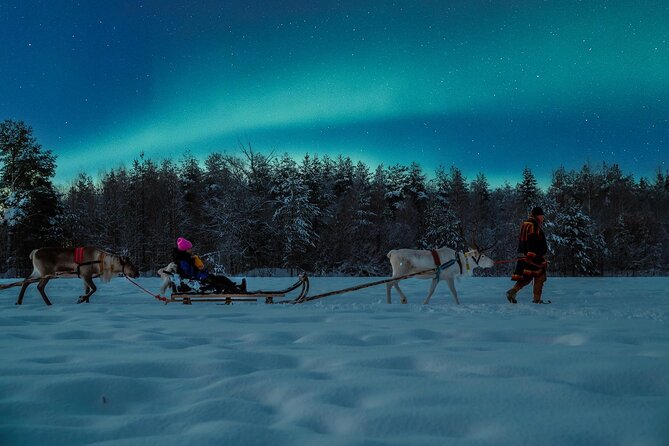 Reindeer sleigh ride across the night in Apukka Resort Rovaniemi - Managing the Cold: Tips from Past Participants
