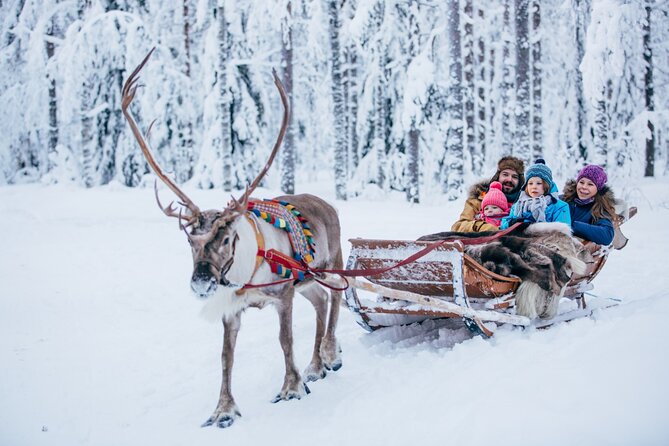 Reindeer Sleigh Ride and Farm Experience from Rovaniemi - Reindeer Farm Visit: A Close Encounter with Laplands Famous Animals