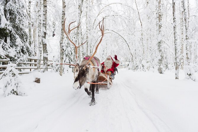 Reindeer Sleigh Ride and Farm Experience from Rovaniemi - Expert Guides and Multilingual Commentaries