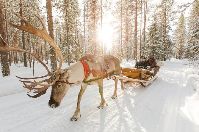 Reindeer Sleigh Ride and Farm Experience from Rovaniemi - Cancellations and Weather Considerations