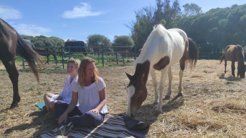 Relax & Mindfulness with Horses in Vejer de la Frontera - What to Expect During the Session