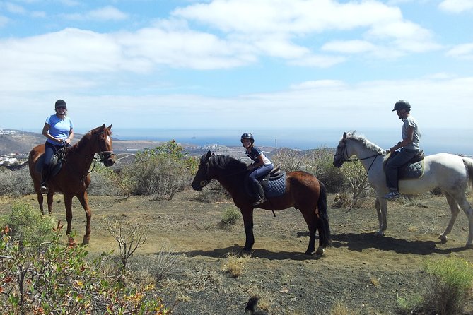 Relaxing Horse Riding Tour in Gran Canaria - Discover a Gentle Introduction to Horse Riding in Gran Canaria