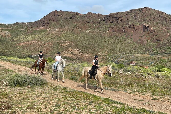 Relaxing Horse Riding Tour in Gran Canaria - Key Points