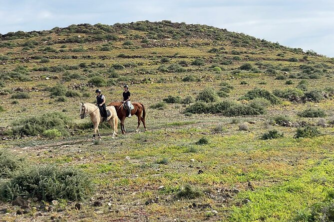 Relaxing Horse Riding Tour in Gran Canaria - Scenic Horseback Ride with Mountain and Sea Views