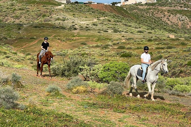 Relaxing Horse Riding Tour in Gran Canaria - The Role of Guides and Safety Measures