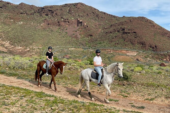 Relaxing Horse Riding Tour in Gran Canaria - Logistics and Booking Details