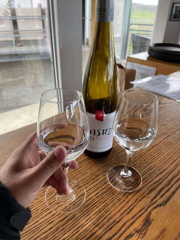 Relaxing Lunch & Wine Tour through Niagara's Wine Country - The Guided Tour and Winery Tour Experience