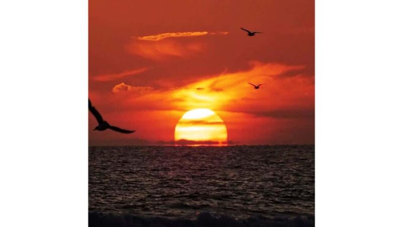 Relaxing Sunset/Evening Cruise in Newport Beach - Key Points