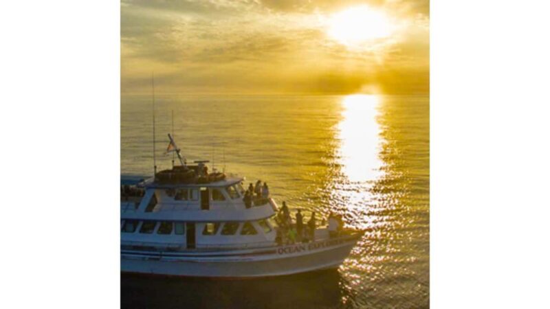 Relaxing Sunset/Evening Cruise in Newport Beach - Start of the Sunset Cruise: Departure from Newport Bay at Davey’s Locker