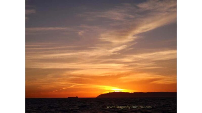 Relaxing Sunset/Evening Cruise in Newport Beach - Relaxing Sunset Cruise in Newport Beach: Final Thoughts