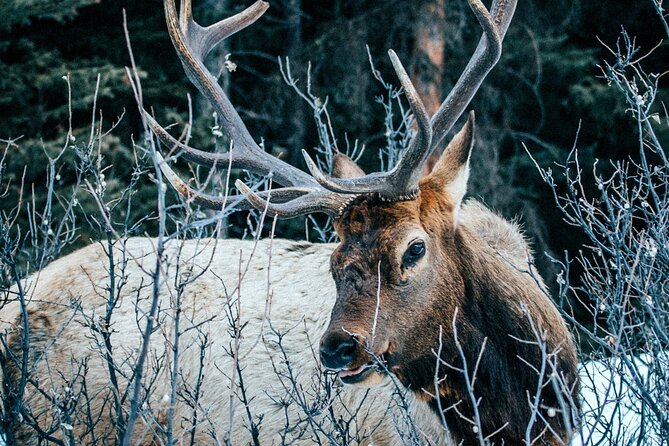 Relive Colorado's Gold Rush Experience - Private Guides - Who Will Appreciate This Colorado Gold Rush Tour?