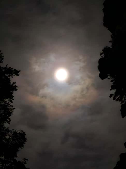 Remote Aurora Guiding - Who Should Consider This Remote Aurora Service?