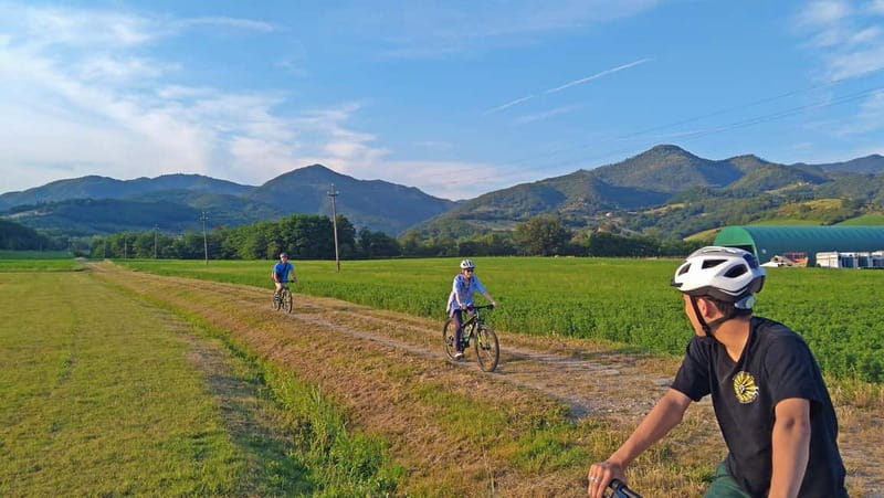 Rent a bike and explore Mugello - Explore Mugello on a Guided Bike Rental in Tuscany