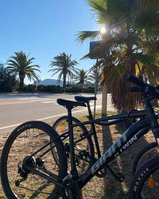 Rent a bike: Cagliari Port, Su Siccu, Parco Nervi, Molentargius - Who Will Enjoy This Bike Tour in Cagliari?