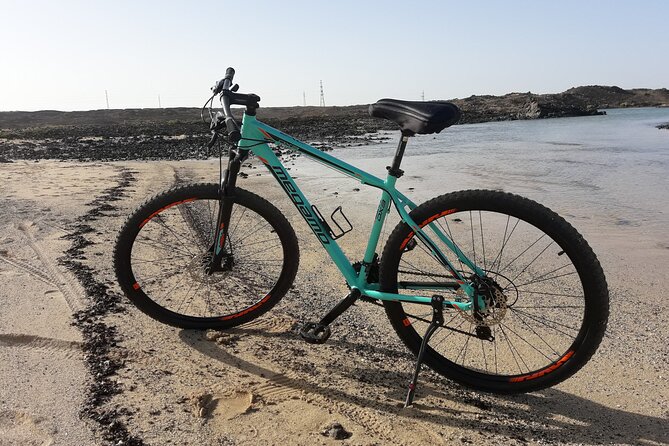 Rent A Bike (eletric & Normal) Costa Calma - The Sum Up: A Practical and Flexible Way to See Fuerteventura
