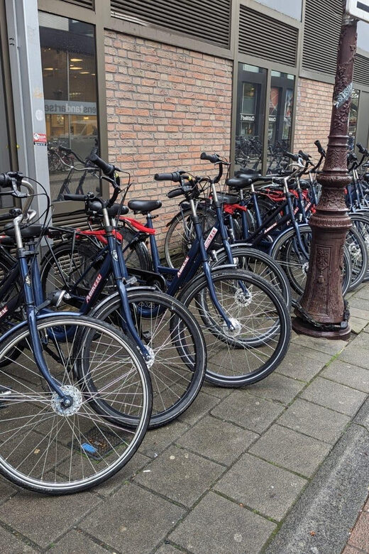 Rent a bike in Amsterdam | 1, 2, 3+ hours - Final Thoughts: A Practical Way to Explore Amsterdam