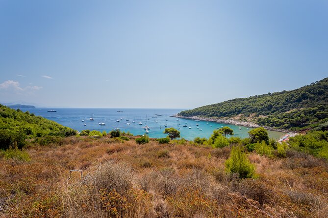 Rent a Boat! (Group Option - Half Day) - The Experience of Visiting Islands and Scenic Spots