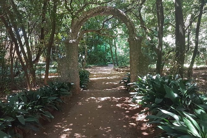 Rent a speed boat and explore beaches and coves of Elaphiti Islands - The Guides and Crew: Expertise and Personal Touch