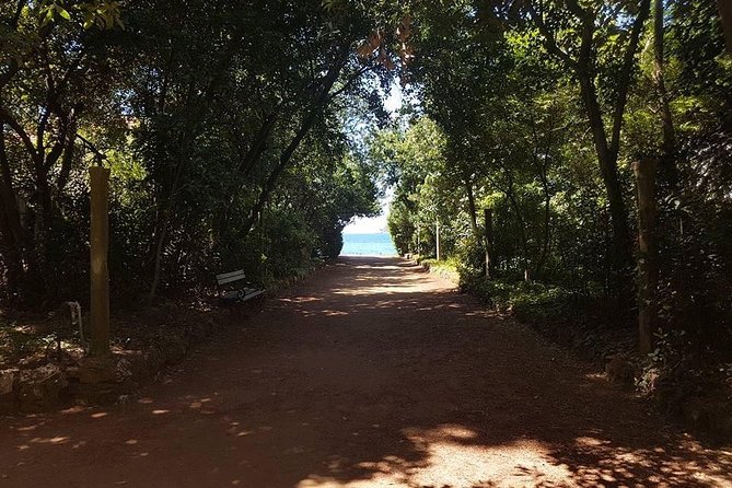 Rent a speed boat and explore beaches and coves of Elaphiti Islands - What Sets This Tour Apart from Others