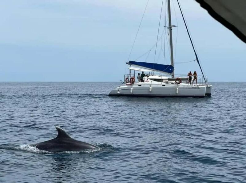 Rent a speedboat in Benalmádena - Easy Booking with Flexible Payment and Cancellation
