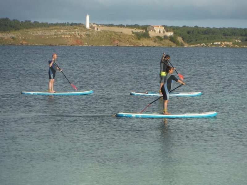 Rent A Stand Up Paddle - The Sum Up: A Relaxed Introduction to Paddleboarding in Fornells