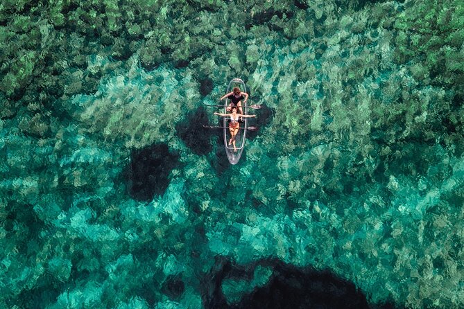 Rent a Transparent Kayak - Discover the Underwater Magic - The Experience During the Sunset