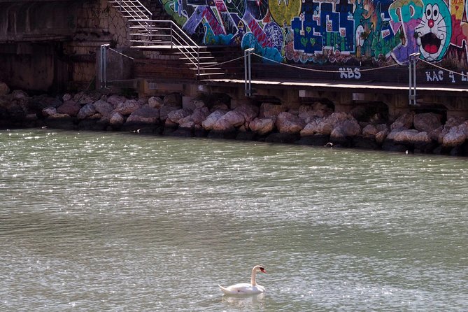 Rent a Trekking bike: Full Day 24 hours - From Central Malaga to the Vibrant Soho District