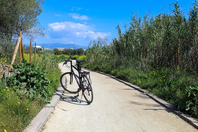 Rent a Trekking bike: Full Day 24 hours - Westward to Torremolinos and Beyond