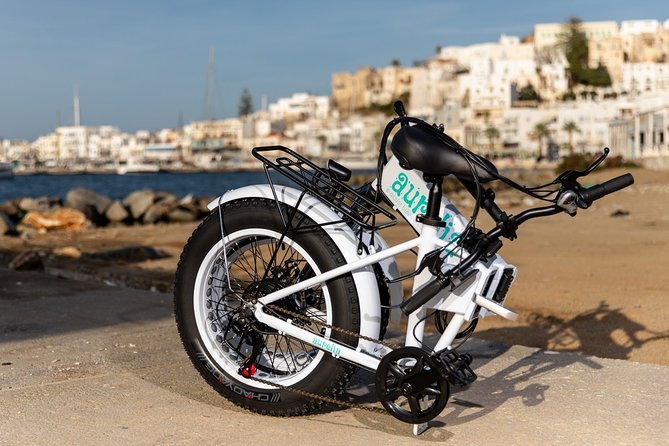 Rent an Aurelia J21 e-bike. 48V/250W with 50+ kms of range - From the Old Town to the Water: Flexible Routes and Stops