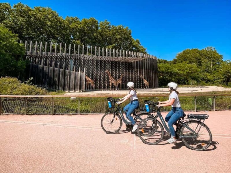 Rent an electric bike for the day in Lyon (+4h) - Discover Lyon’s Green Spaces: Parc de la Tête dOr and Beyond