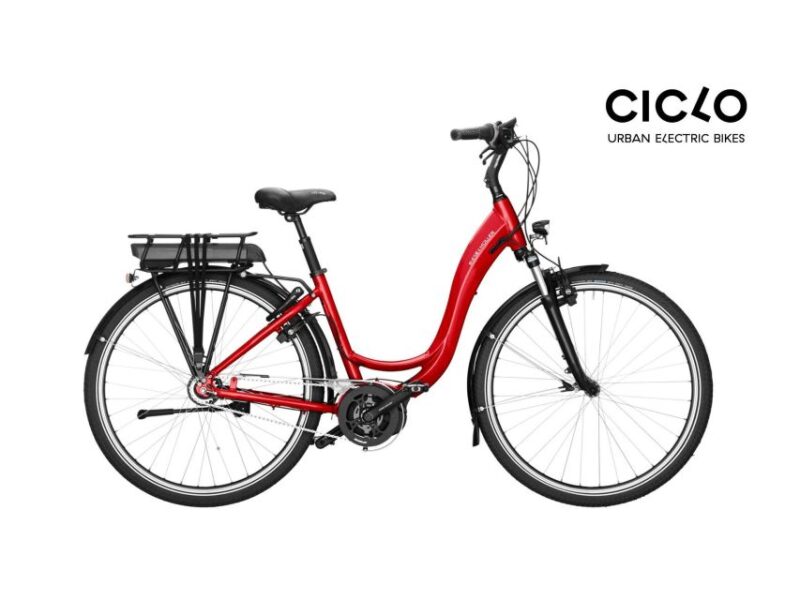 Rent an Electric Bike with Bosch motor - Why Choose This Electric Bike Rental in Porto