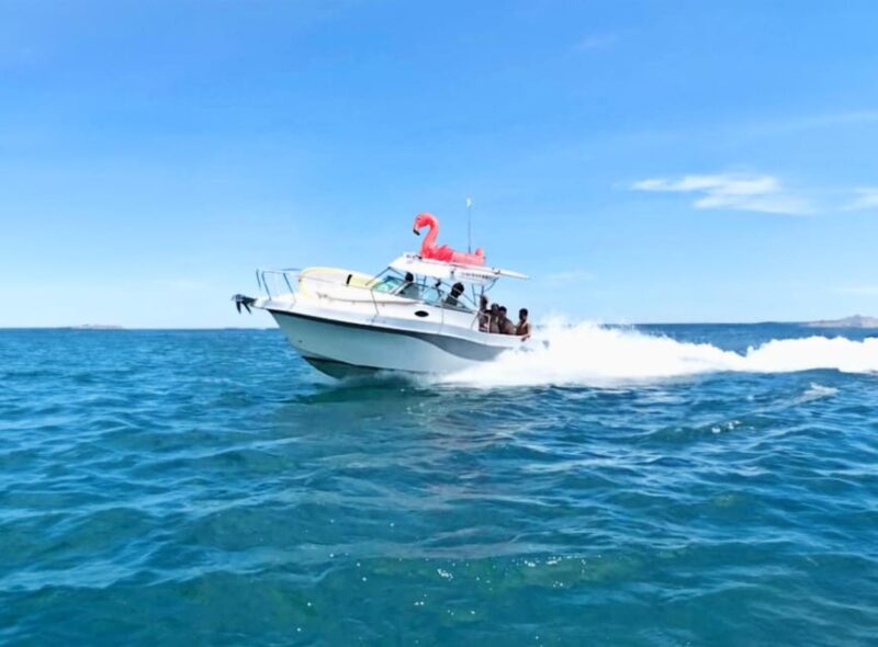 Rent Boat Valencia Yatch Polonova with capitan and drinks - Pricing and Booking Flexibility